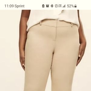 LaneBryant Boot cut tan trousers